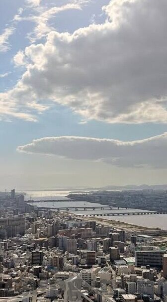 澳门葡萄京赌场-澳门葡萄京赌场，一个复杂而迷人的文化交汇点